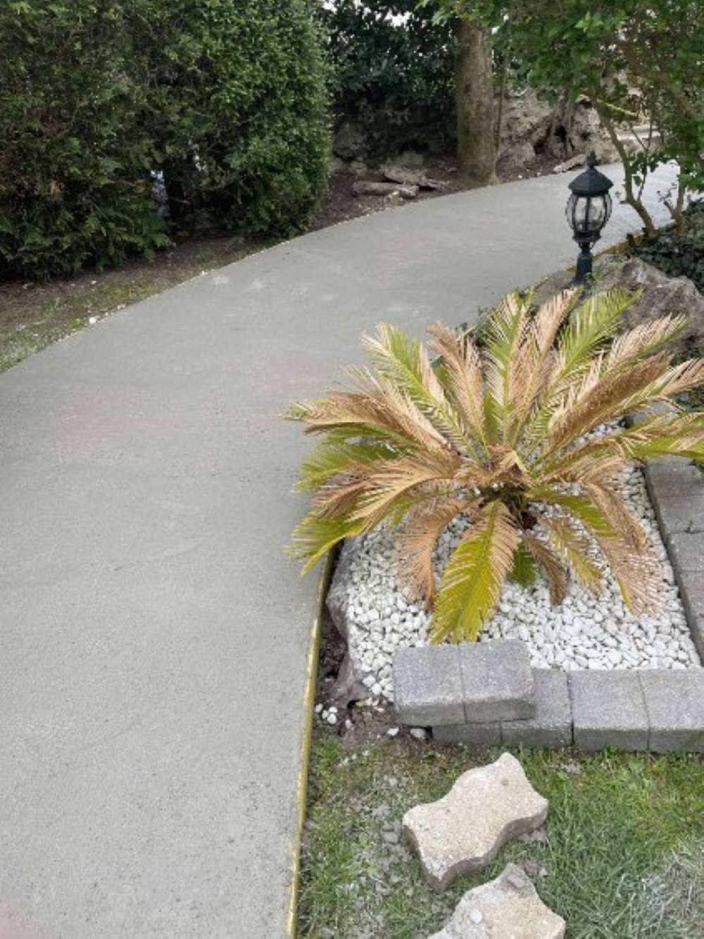 entreprise_cohelho-16